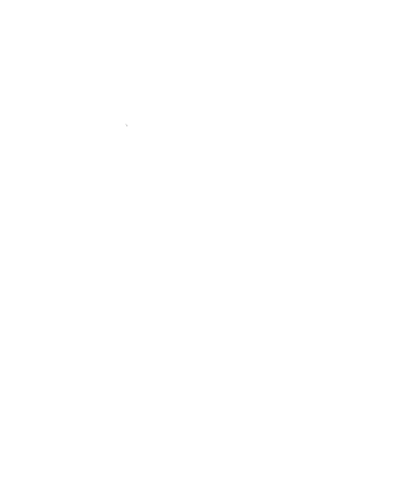 Cerveza Artesanal Cocholgue